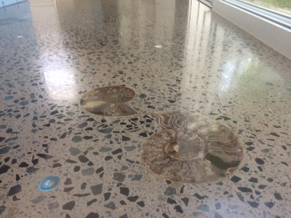 Fossils and glass beads, Polished Concrete