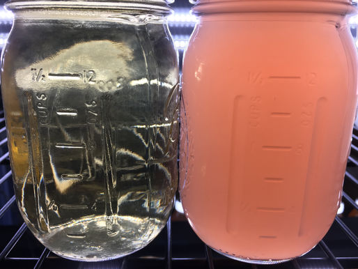 How PNS Bacteria Promote a Healthier Aquarium