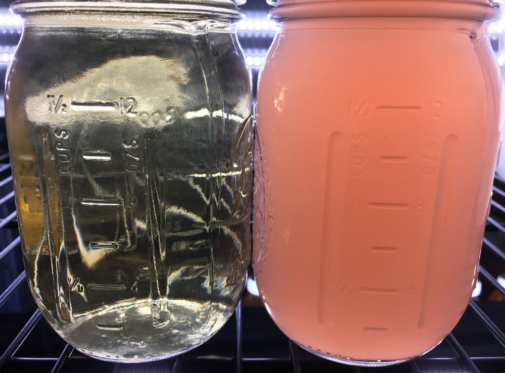 How PNS Bacteria Promote a Healthier Aquarium