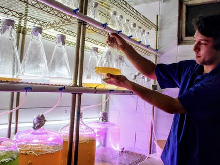 Meet Our New Blog Writer, Taras Pleskun