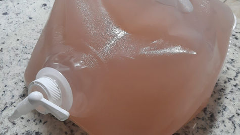 I Grew My Own Phototrophic Bacteria with PNS HomeGro™ Kit and So Can You! (Part 1)