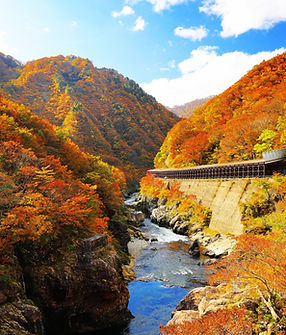 Fall_Okitama.jpeg