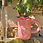 Miniature : Carafe Océan Rose
