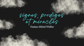 WhatsApp Image 2026-02-15 at 4.30.54 PM.jpeg