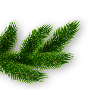 EF - WEB BACKGROUNDS (12NOV21)-33.png