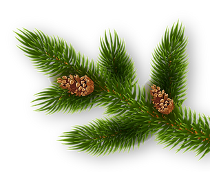 EF - WEB BACKGROUNDS (12NOV21)-19.png