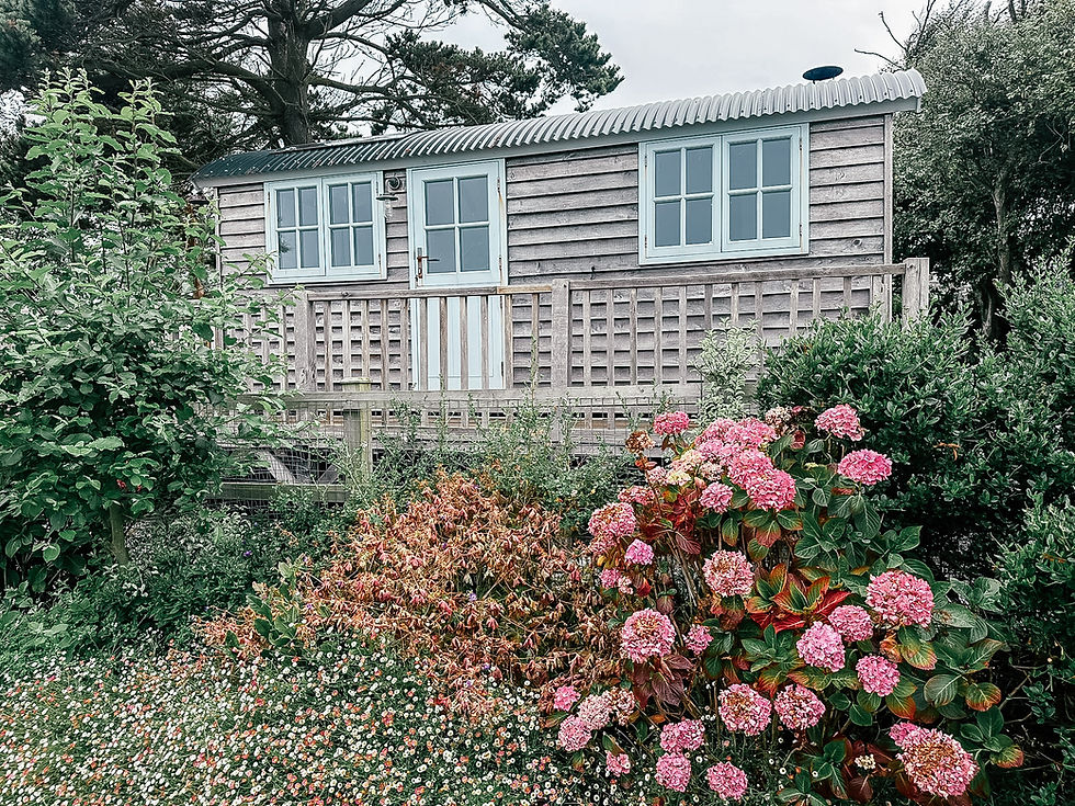 Shepherds hut exterior from garden head on.JPG