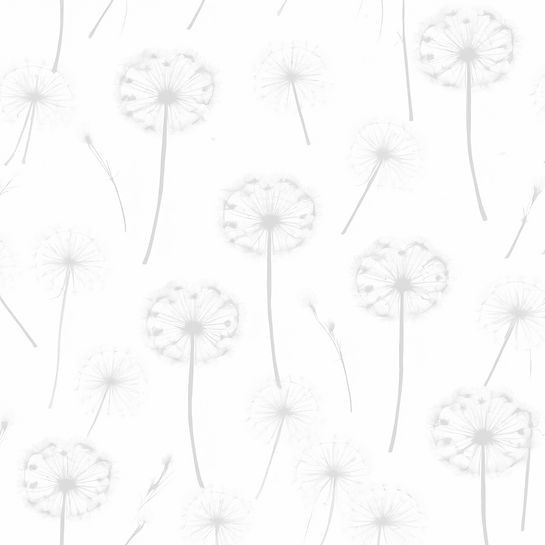 a background of ivory color  gray  drawing of dandelion seed_edited.jpg
