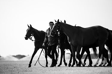 Nic Roldan with his polo ponies