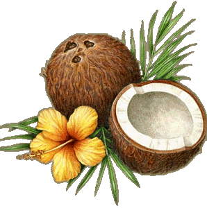 noce di cocco.gif