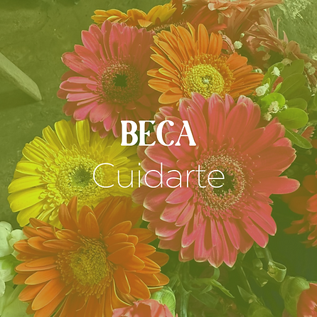 herramientas terapia (16).png