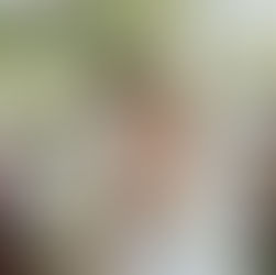 Italiaanse bruiloft in Nederland