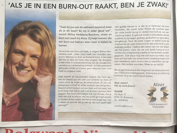 Krantenartikel.jpg