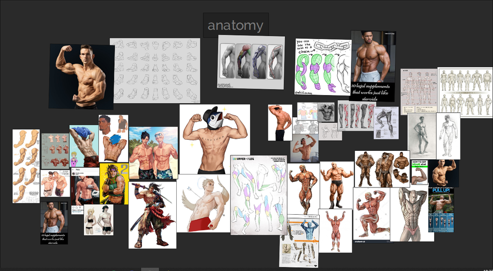 Ref-anatomy.png