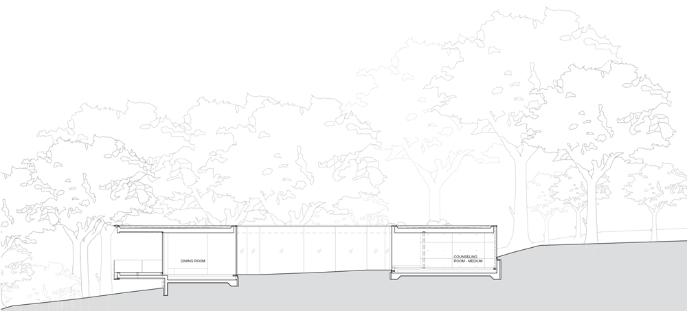 Section