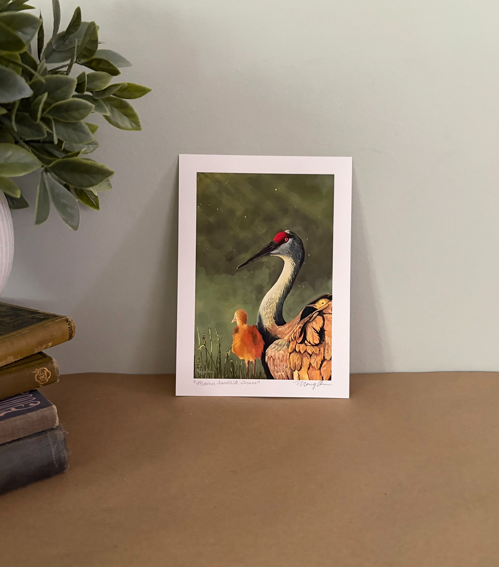 Thumbnail: "Mother Sandhill Crane" | 5x7 | Fine Art Paper Print