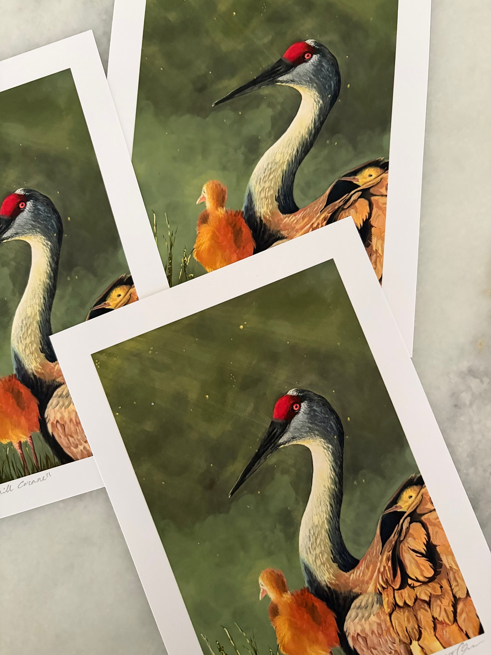 Thumbnail: "Mother Sandhill Crane" | 5x7 | Fine Art Paper Print