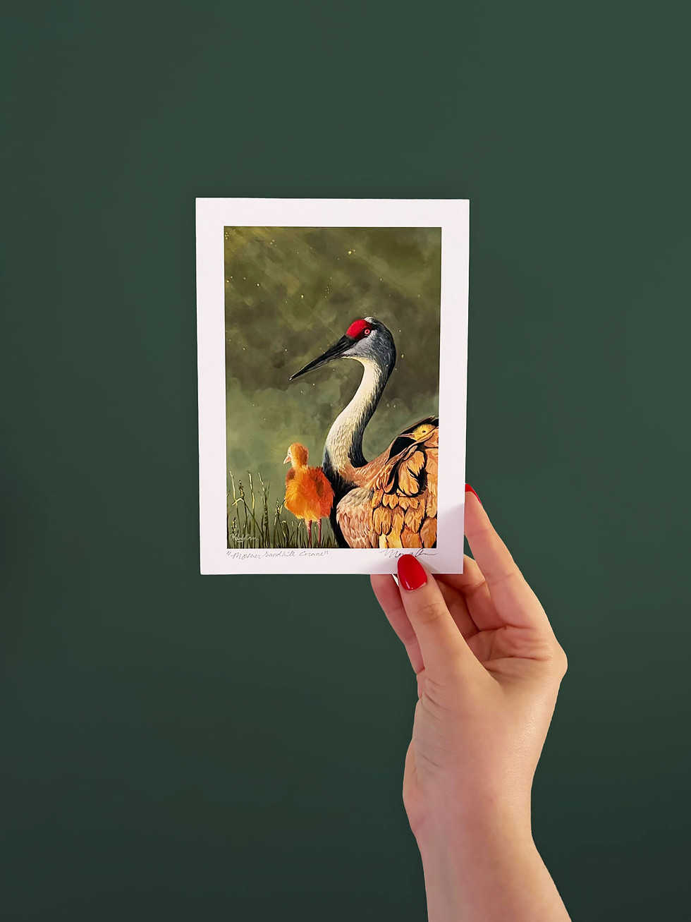 Thumbnail: "Mother Sandhill Crane" | 5x7 | Fine Art Paper Print