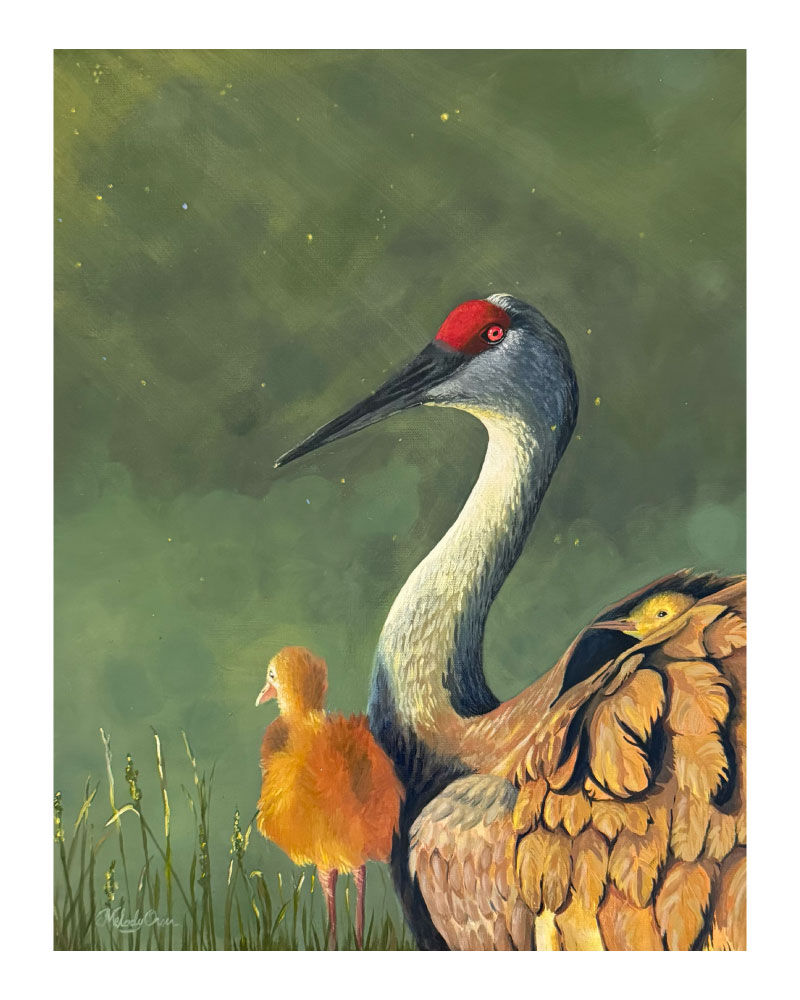 "Mother Sandhill Crane" Fine Art Paper Print