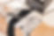 S__1974306.jpg