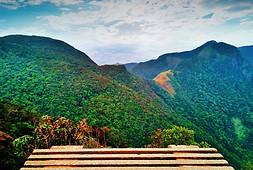 The Tree Retreat - Family Villa Hikkaduwa