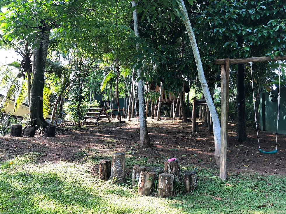 Swings and climbing frames