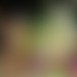 Bloco Afro Tudo Pela Dinha celebra 15 anos de axé, memória e resistência 