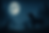 Raising Artemis Moonlit Night Image
