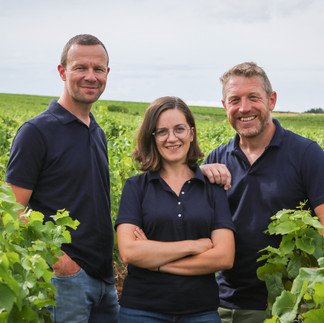 APEX Conseil viticole au milieu des rangs