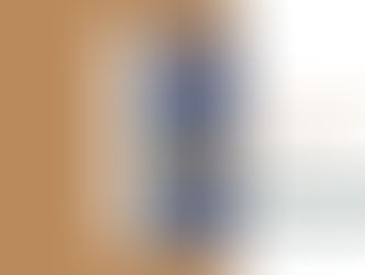 Portrait de membre : Romain SOLNON et Emeric MAZAN