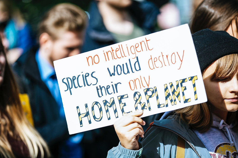 no intelligent species would destroy their only home & planet