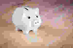 piggy bank