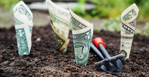 Put Your Money To Work