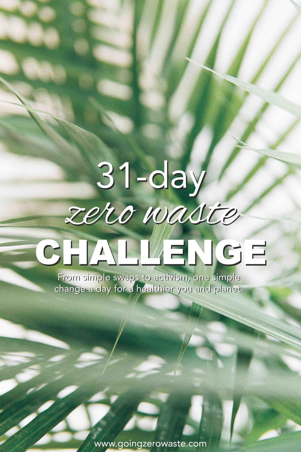 31-Day zero waste challenge