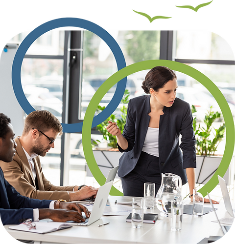 Hummingbird Branding Deck 2025 (10).png