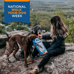 2. Instagram Post 1080x1080 (A)