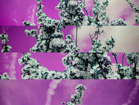 Whispers of Heat and Dust: A Photographer Between Seasons