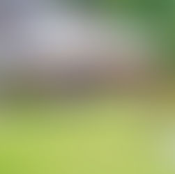 Smokehouse Restaurant