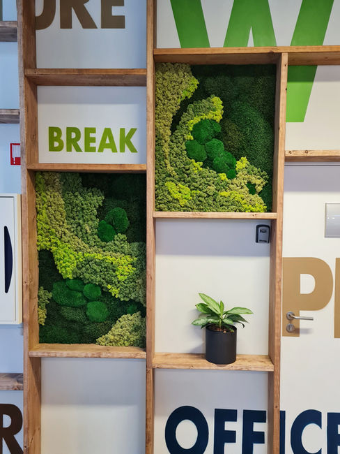 Detail mosmuur inkom