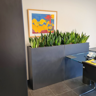 interieurbeplanting kantoor A10Legal2.png