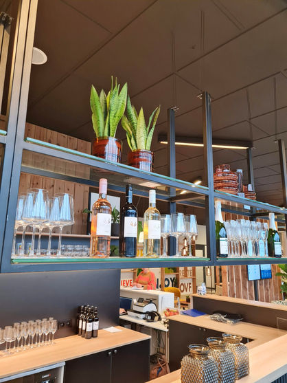 Sansevieria bar.jpg