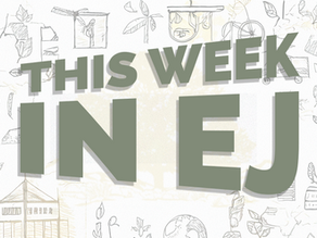 This Week in EJ - 7/29/2025
