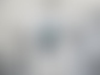 Tandem uçuşta, deneyimli bir pilot sizinle birlikte paraşütü yönetir