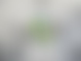 Bali Ruhunu Üzerinde Taşı: Tropikal Desenli Tişörtlerle Sonsuz Yaz Hissi