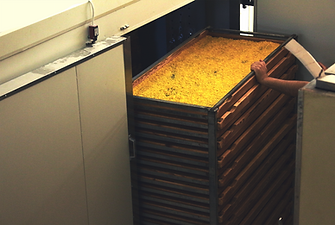 Screen Shot 2021-06-20 at 23.39.06.png