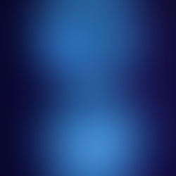 E.Coli, E.Coli Night