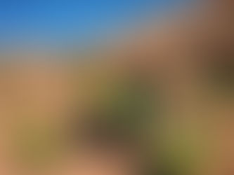 PERFORMANCE IN ACTION™ – Behind the Scenes: Director’s blog