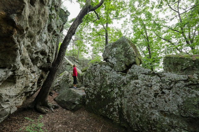 A hiking trail in Arkansas with limestone rock formations.