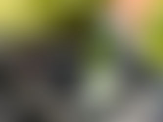Nước làm mát ô tô loại nào tốt? Bao lâu thay 1 lần?