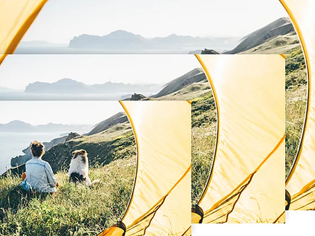 Resize images easily in Adobe Photoshop